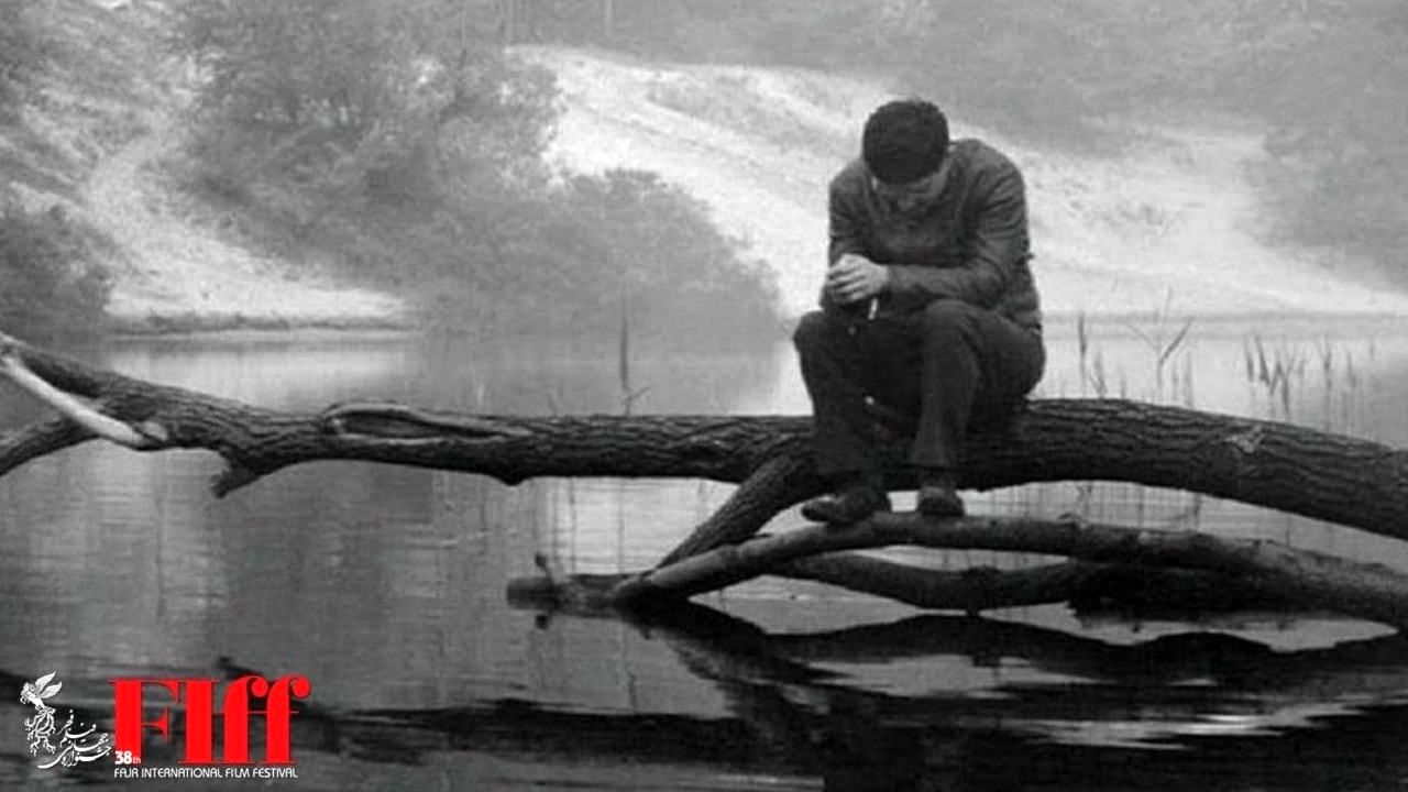 «ما اینجاییم، ما نزدیکیم» در بخش مسابقه جشنواره جهانی فیلم فجر