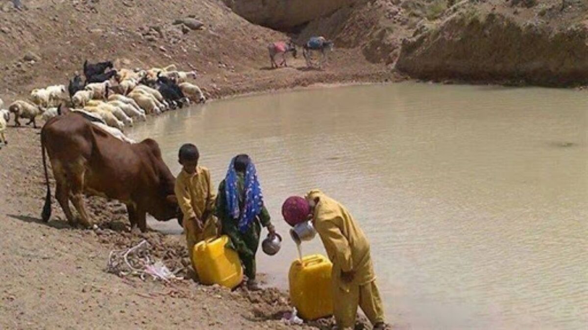 مسئولین محترم، علت شپش شما هستید!