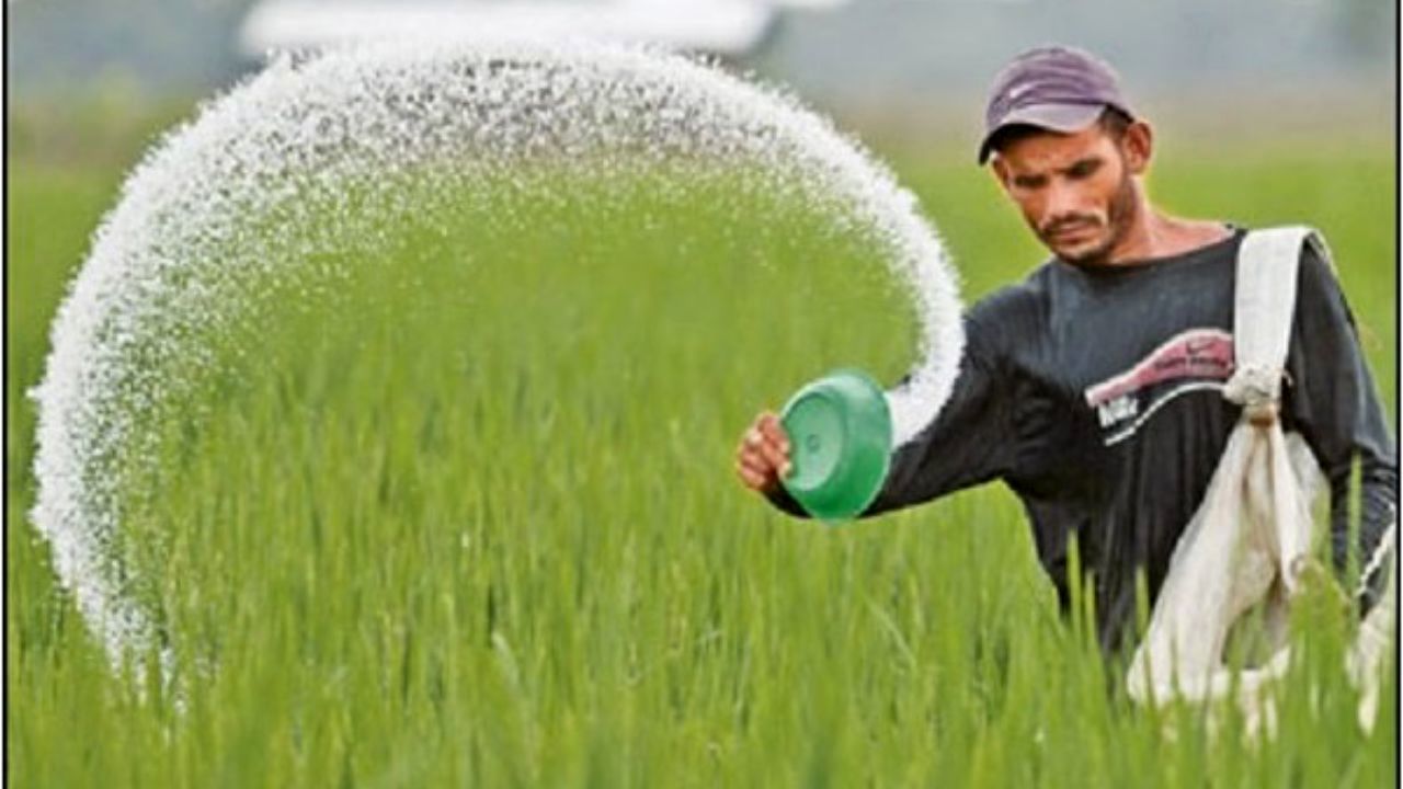 رئیس جمهور آینده چه وظیفه ای در بخش کشاورزی دارد؟