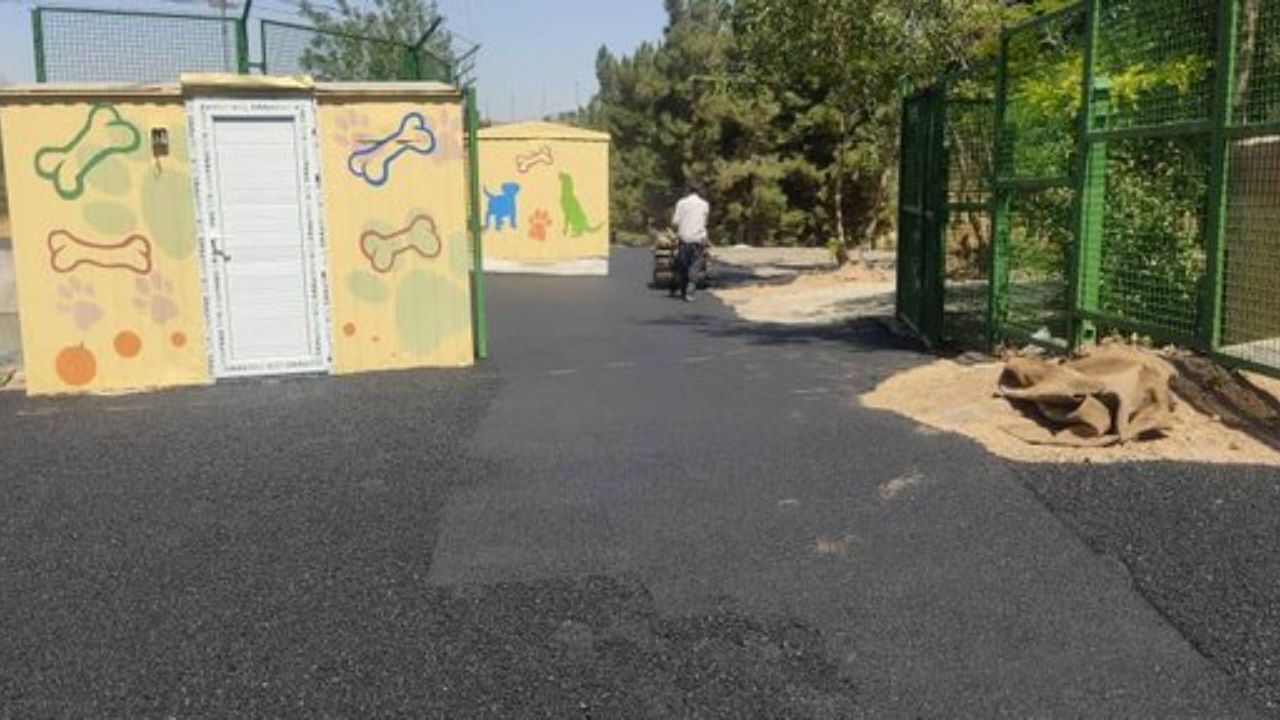 راه اندازی مرکز حمایت از حیوانات در سرخه حصار