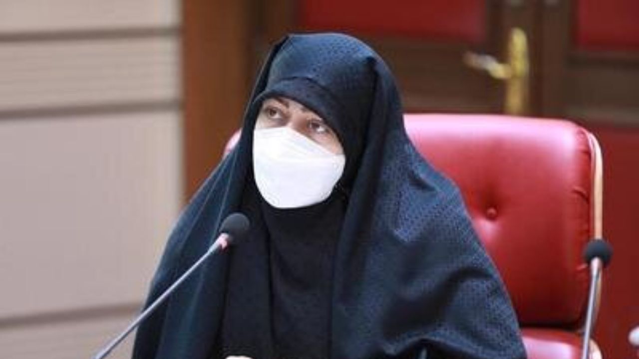 لزوم آینده‌نگری و آینده‌نگاری جمعیتی توسط دولت آینده/ حمایت مجلس از مراکز درمان ناباروری