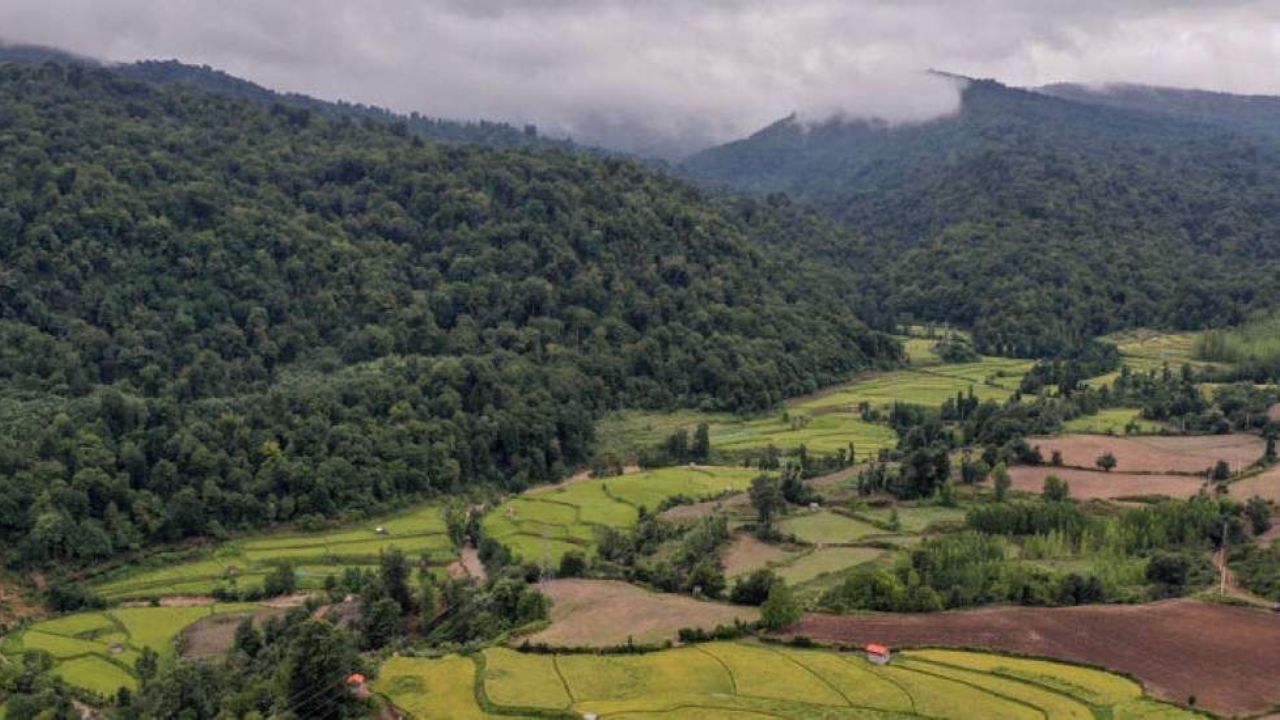 حکم پایان وقف جنگل‌های آق‌مشهد ابلاغ رسمی نشد