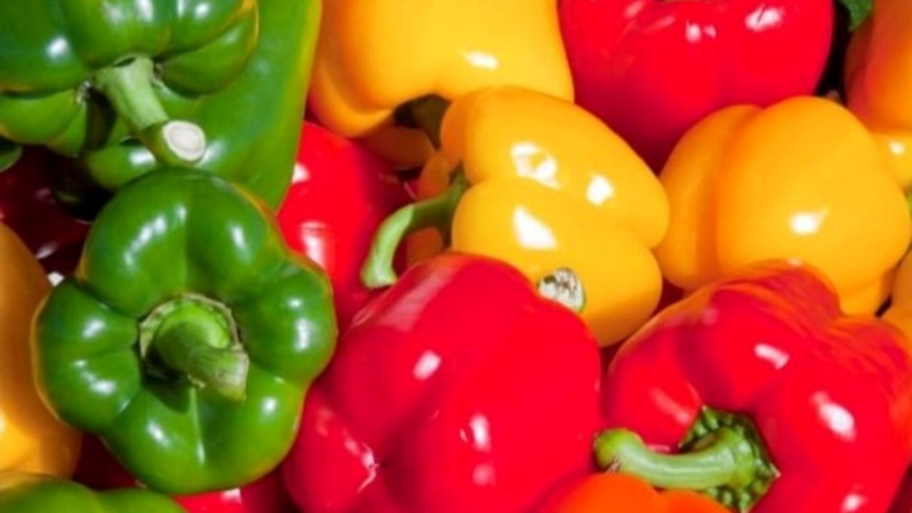چرا استاندارد مانع برگشت خوردن کالاهای صادراتی نشد؟