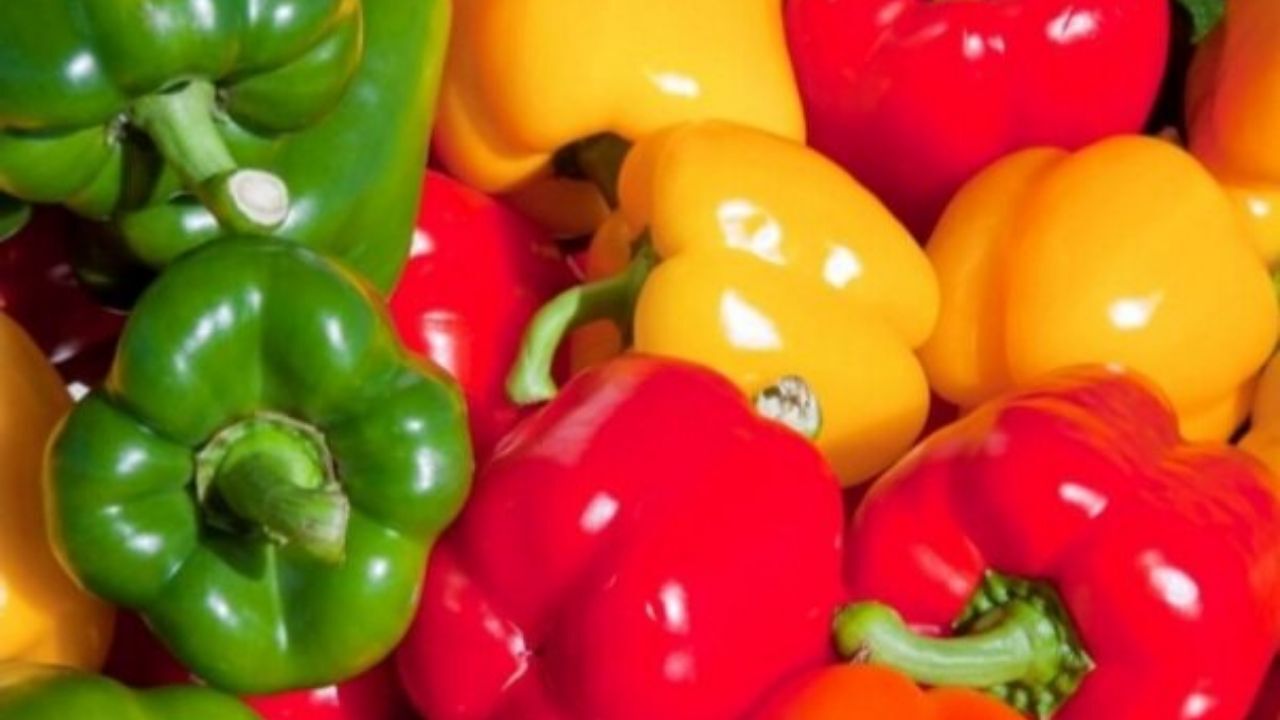 چرا استاندارد مانع برگشت خوردن کالاهای صادراتی نشد؟