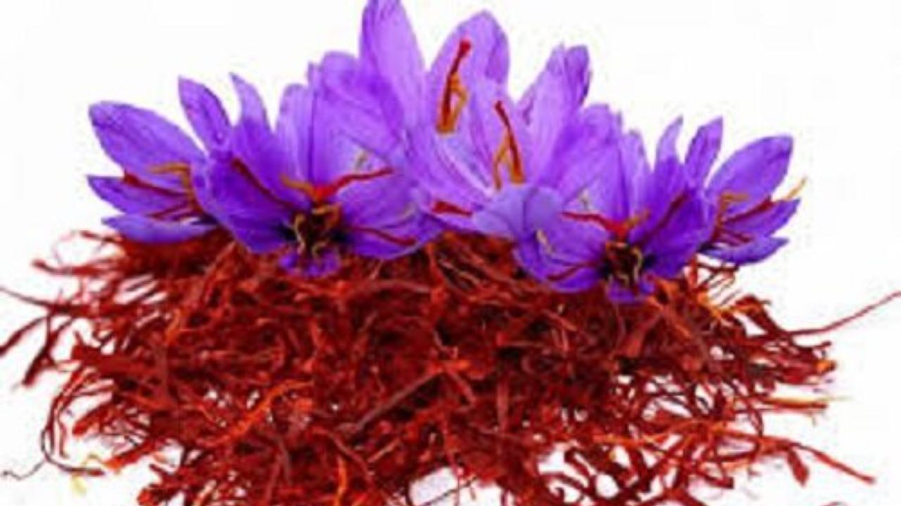 قیمت زعفران افزایش یافت