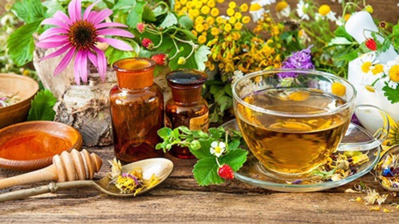 برگزاری دوره‌های آموزشی غیرمجاز طب سنتی، شارلاتانیزم است