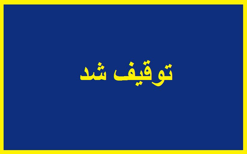 35 دستگاه خودروی لوکس خارجی قاچاق در هرمزگان توقیف شد