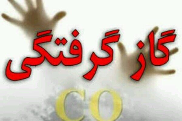 مسمومیت ۱۷ دانشجوی دانشگاه ایلام بر اثر نشت گاز