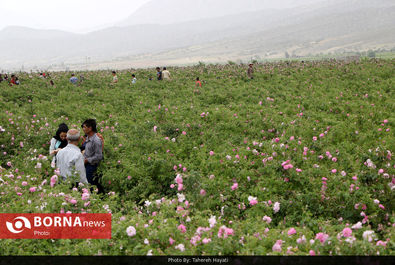 P3GC0bxv1YIL