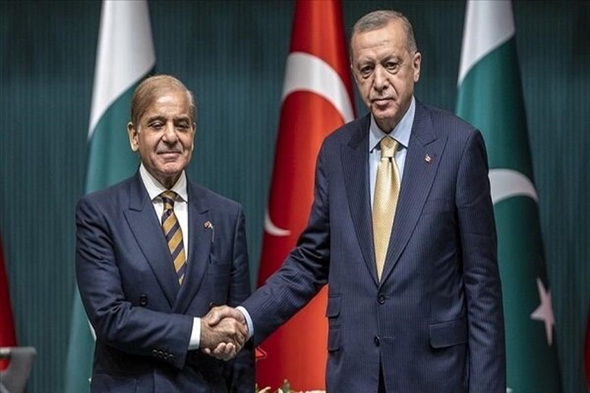 رایزنی اردوغان و شریف پیرامون وضعیت سیلزدگان در پاکستان