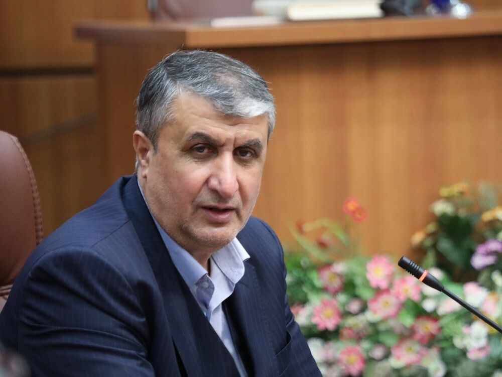 روند مذاکرات ایران و آژانس در حال پیشرفت است؛ به وقتش نتایج کار را گزارش می‌دهیم