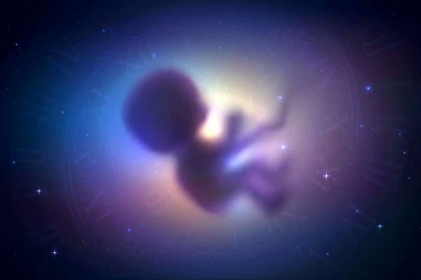 آیا ایده کودکان فضایی به واقعیت تبدیل می‌شود؟