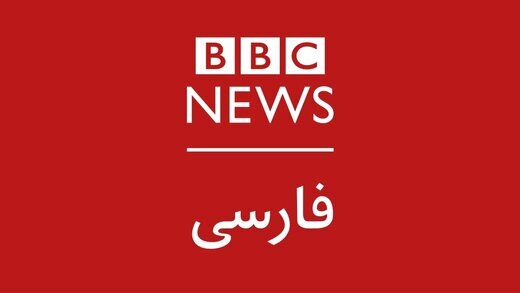 ببینید| ادبیات عجیب مجری بی‌بی‌سی در واکنش به غذاخوردن سگ‌ها
