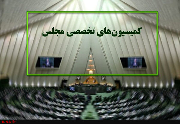 بازدید نمایندگان از وزارت اطلاعات در دستور کار کمیسیون‌های تخصصی