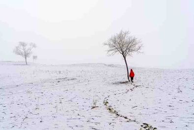 حیوانات طبیعت