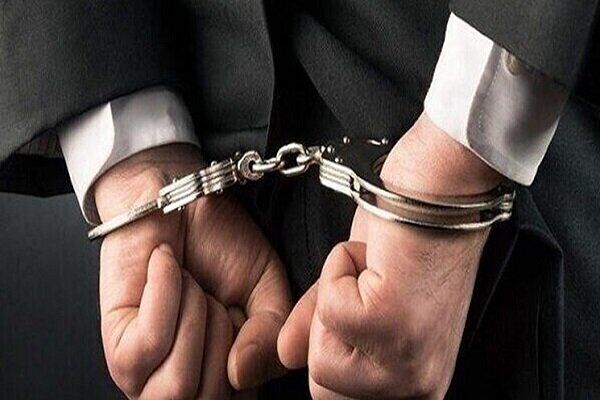 جزئیات بازداشت دو مدیر محیط زیستی از زبان سخنگوی دولت