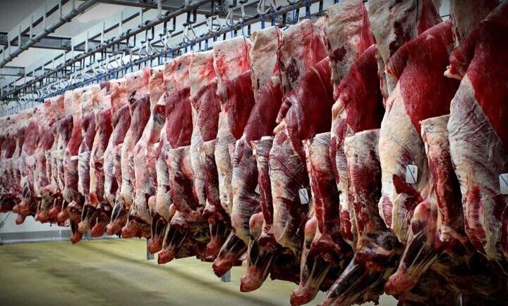 قیمت گوشت قرمز امروز چهارشنبه ۲۴ تیر ۱۴۰۵