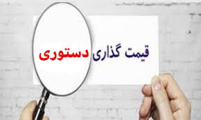 قیمت‌گذاری دستوری چرا شکست خورد؟
