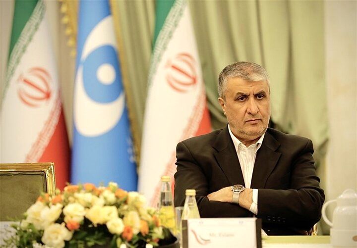 اسلامی: اعتماد میان ایران و آژانس باید بازسازی شود