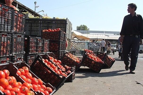 صادرات گوجه فرنگی ممنوع شد