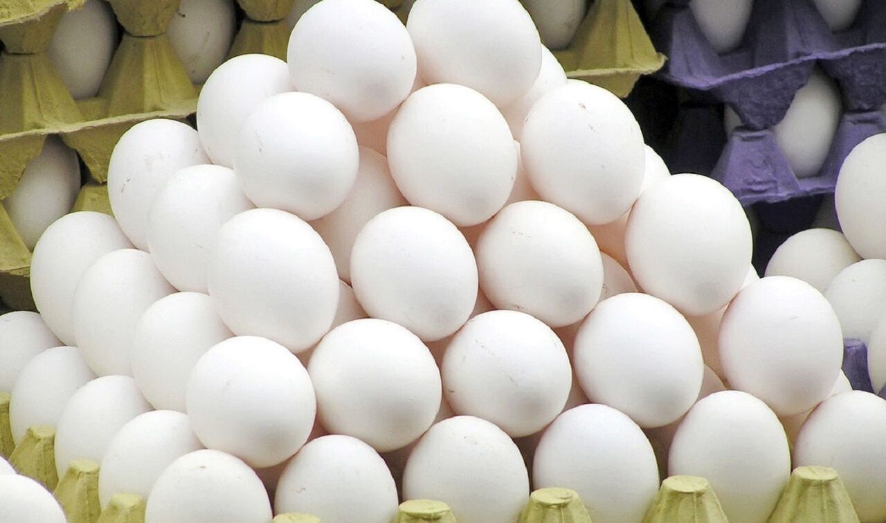 قیمت تخم مرغ امروز چهارشنبه ۲ اردیبهشت ۱۴۰۵