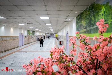 یک-روز-در-ندامتگاه-زنان-2