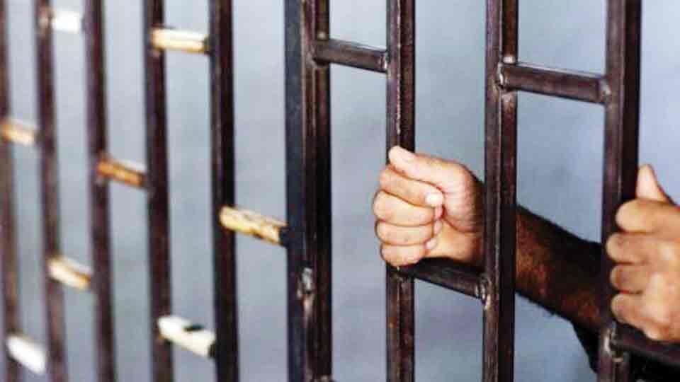 قتل 2 برادر با دستمزد 150 میلونی