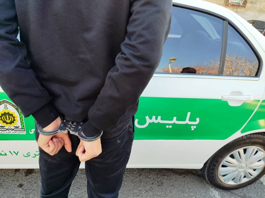زن و شوهر سارق به بن بست رسیدند