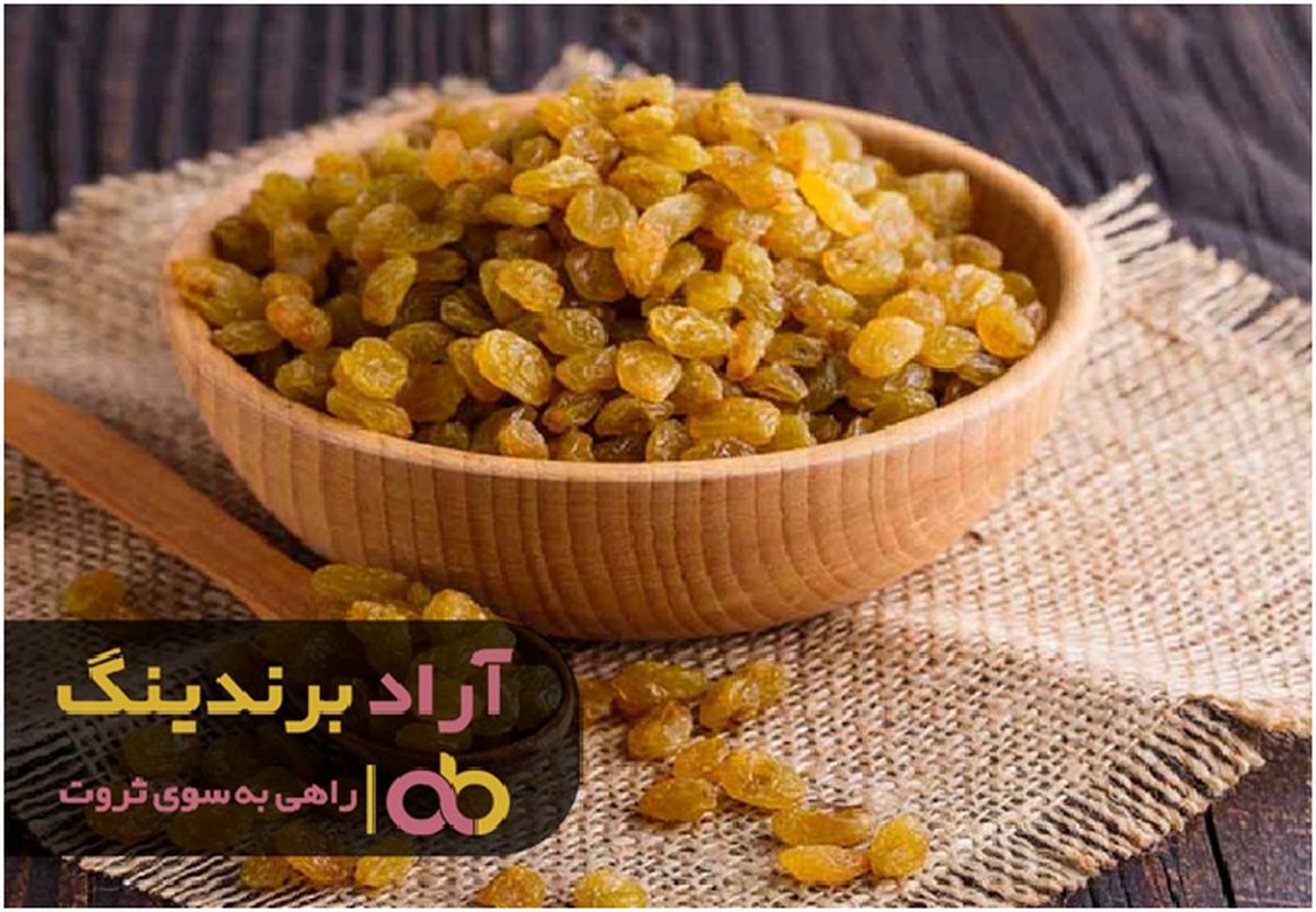 تولید کشمش مرا به قله های موفقیت و ثروت رساند