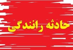 برخورد وانت با تیربرق در تهران 8 مصدوم برجای گذاشت