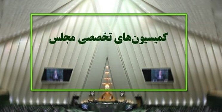 کمیسیون اصل نود نحوه اجرای «قانون اقدام راهبردی برای لغو تحریم‌ها» را بررسی می‌کند/ امیرعبداللهیان و اسلامی به کمیسیون اصل ۹۰ می روند