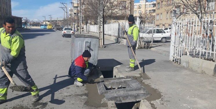 جمع‌آوری ۱۶۲۰ قلاده سگ بلاصاحب در اراک