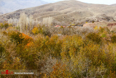روستای قاهان