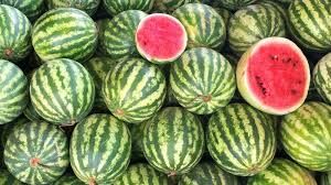 هندوانه نوبر، کیلویی 25هزار تومان