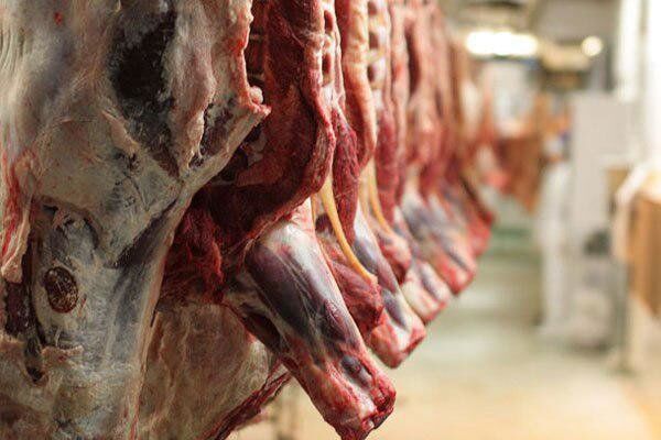 حجم تخلف فروش گوشت الاغ و اسب نگران کننده نیست/موادغذایی با قیمتهای نامتعارف ناسالم‌اند