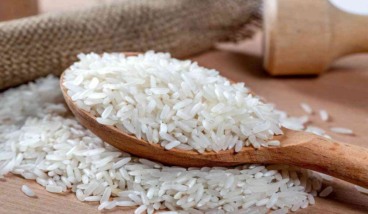 قیمت انواع برنج ایرانی و خارجی امروز دوشنبه ۱۹ آبان ۱۴۰۴