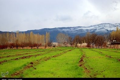 طبیعت بهاری ابهر