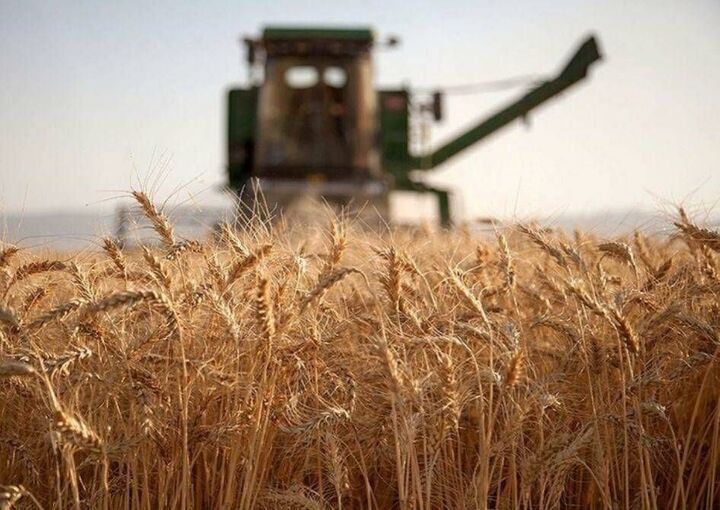 رئیس بنیاد ملی گندمکاران: پرداخت بهای خرید گندم فعلاً علی‌الحساب و بر مبنای قیمت سال گذشته یعنی ۲۹ هزار و ۵۰۰ تومان پرداخت می‌شود