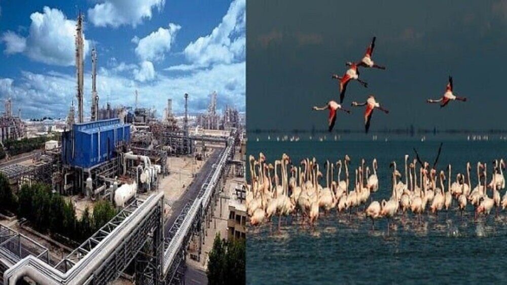 پتروشیمی میانکاله غیرقانونی است