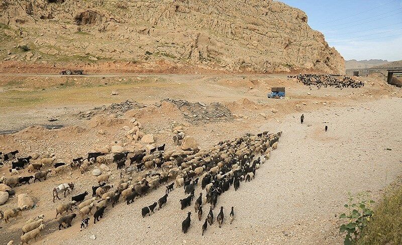 عشایر کشور رایگان بیمه می‌شوند