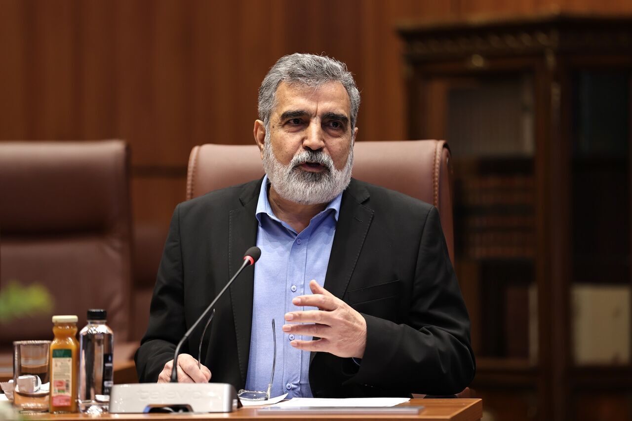 معاون سازمان انرژی اتمی ایران: ایران تنها کشوری نیست که غنی‌سازی می‌کند و سلاح هسته‌ای ندارد
