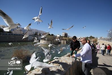 شیرازگردی مهمانان روسی