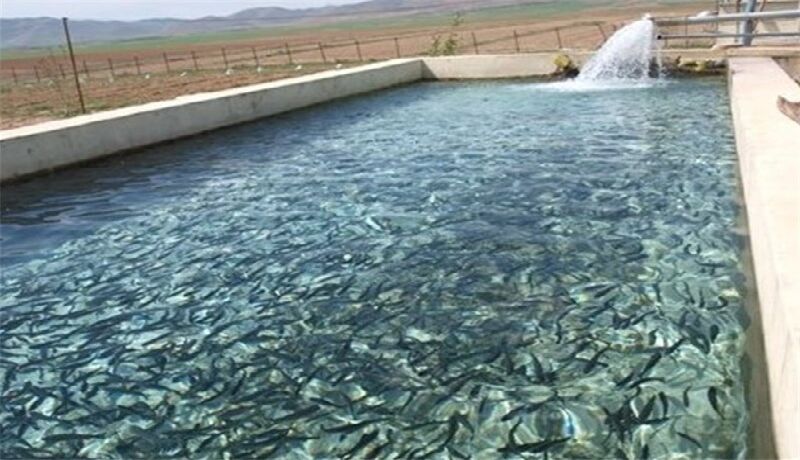 فاز اول طرح پرورش ماهیان سردابی در اندیمشک به بهره برداری می‌رسد