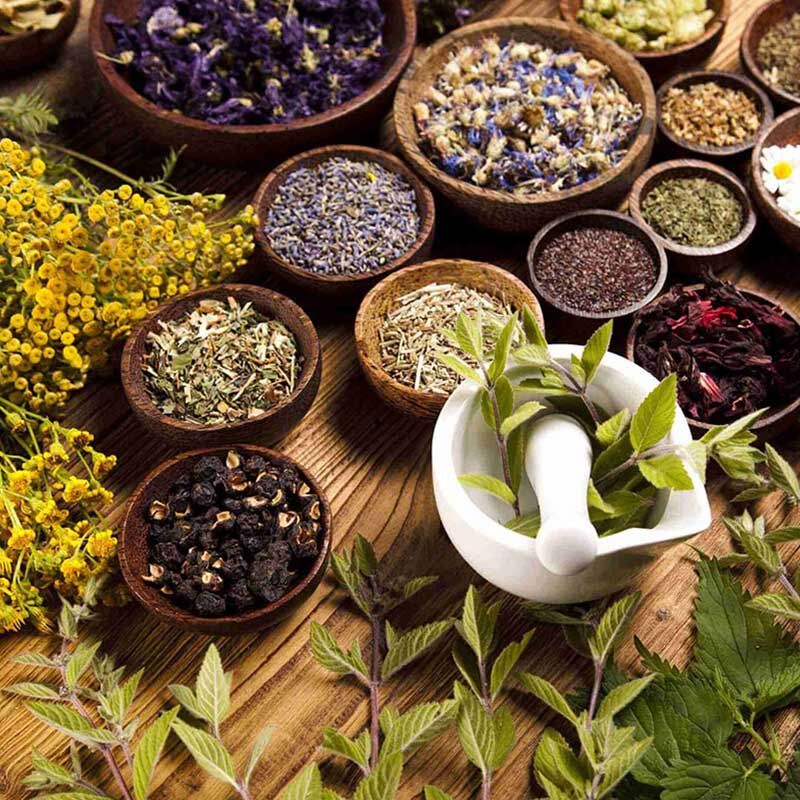یک اشتباه رایج، داروی گیاهی یا گیاه دارویی؟