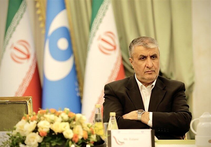 سازمان انرژی اتمی: ظرفیت نصب‌شده ایران فقط ۳ درصد، اما ۲۵ درصد بازرسی‌ها از ماست؛ در سال ۲۰۲۴ بیش از ۴۵۰ بازرسی انجام داد