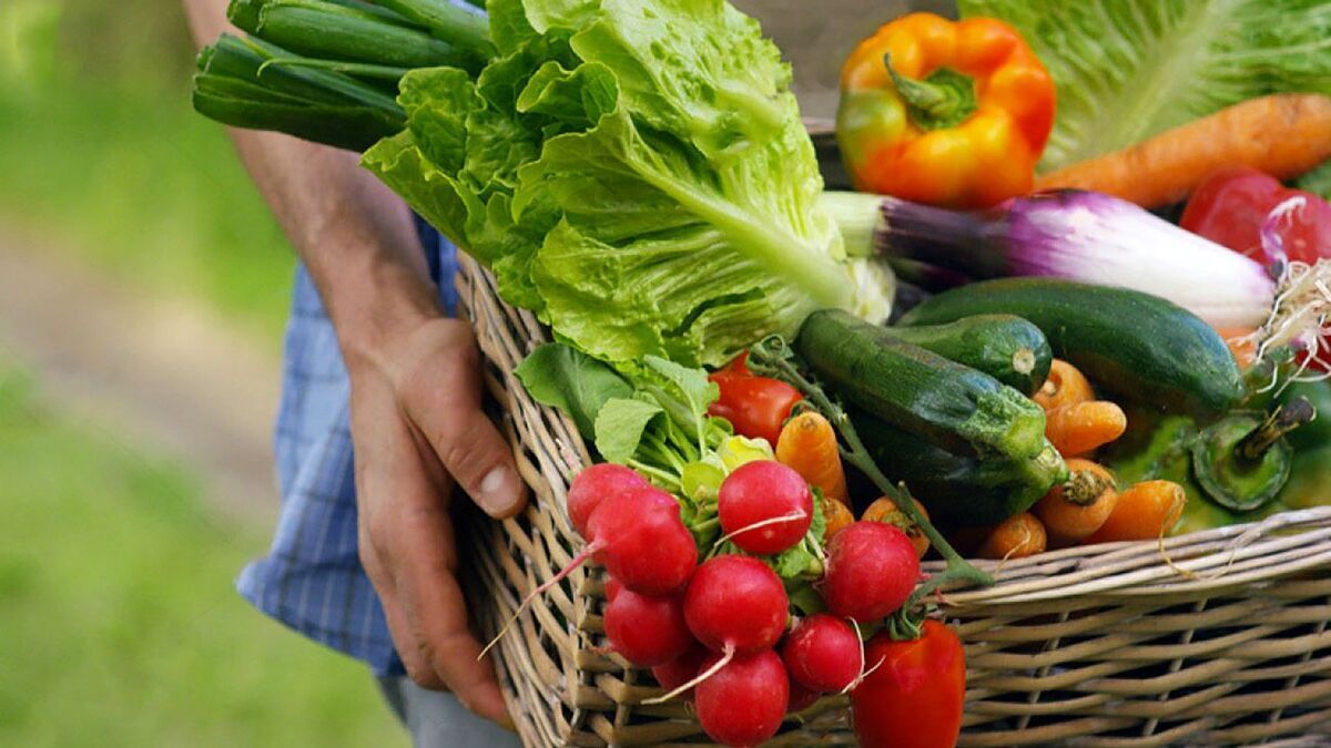 
با این رژیم غذایی عمرتان را طولانی کنید
