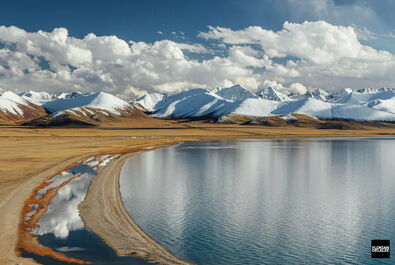 طبیعت درخت کوه
