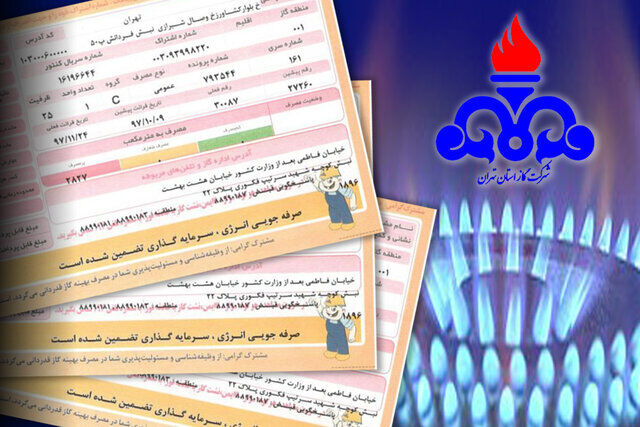 مدیرعامل شرکت ملی گاز ایران: ۲ درصد مشترکان گاز، بدمصرف هستند